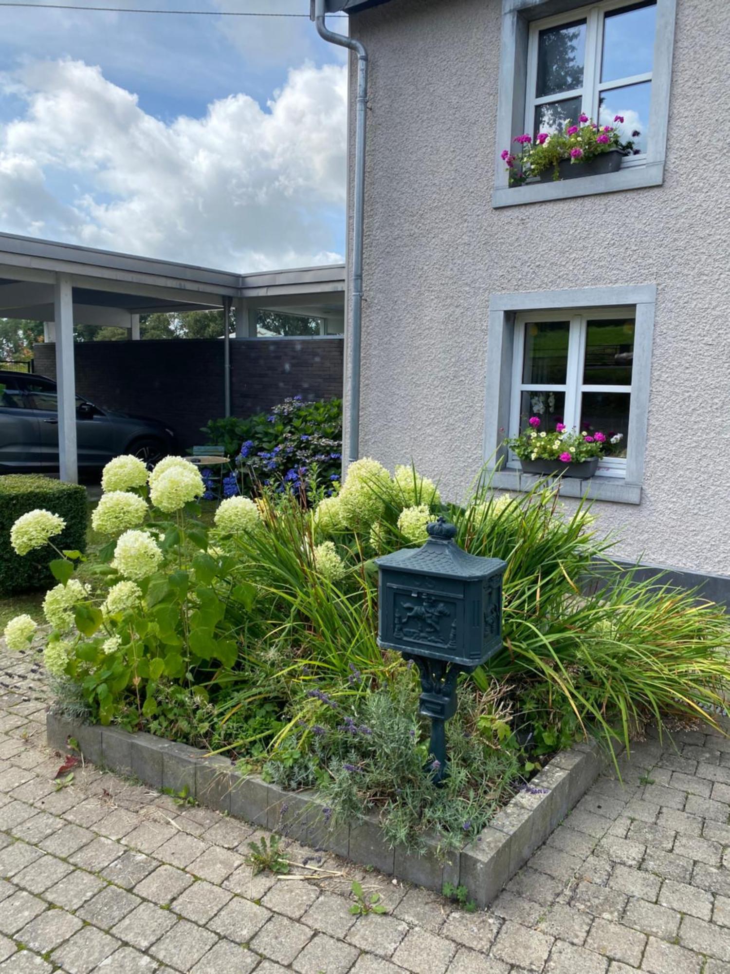 Les Sansonnets Hotel Vaux-sur-Sure Bagian luar foto